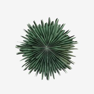 Venture Home – Adventsstjärna Sälen – Grön – Adventsstjärnor – Från Homeroom