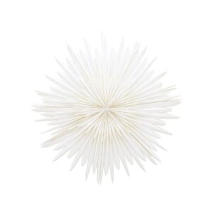 Venture Home – Adventsstjärna Sälen – Vit – Adventsstjärnor – Från Homeroom