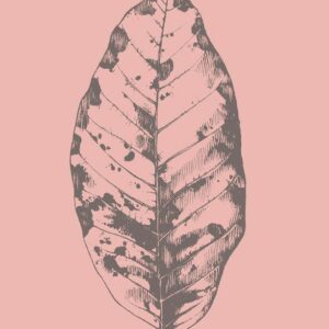 Malerifabrikken – Poster Botanica 1 – Rosa – Posters – Från Homeroom