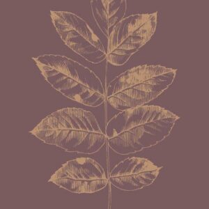 Malerifabrikken – Poster Botanica 2 – Röd – Posters – Från Homeroom