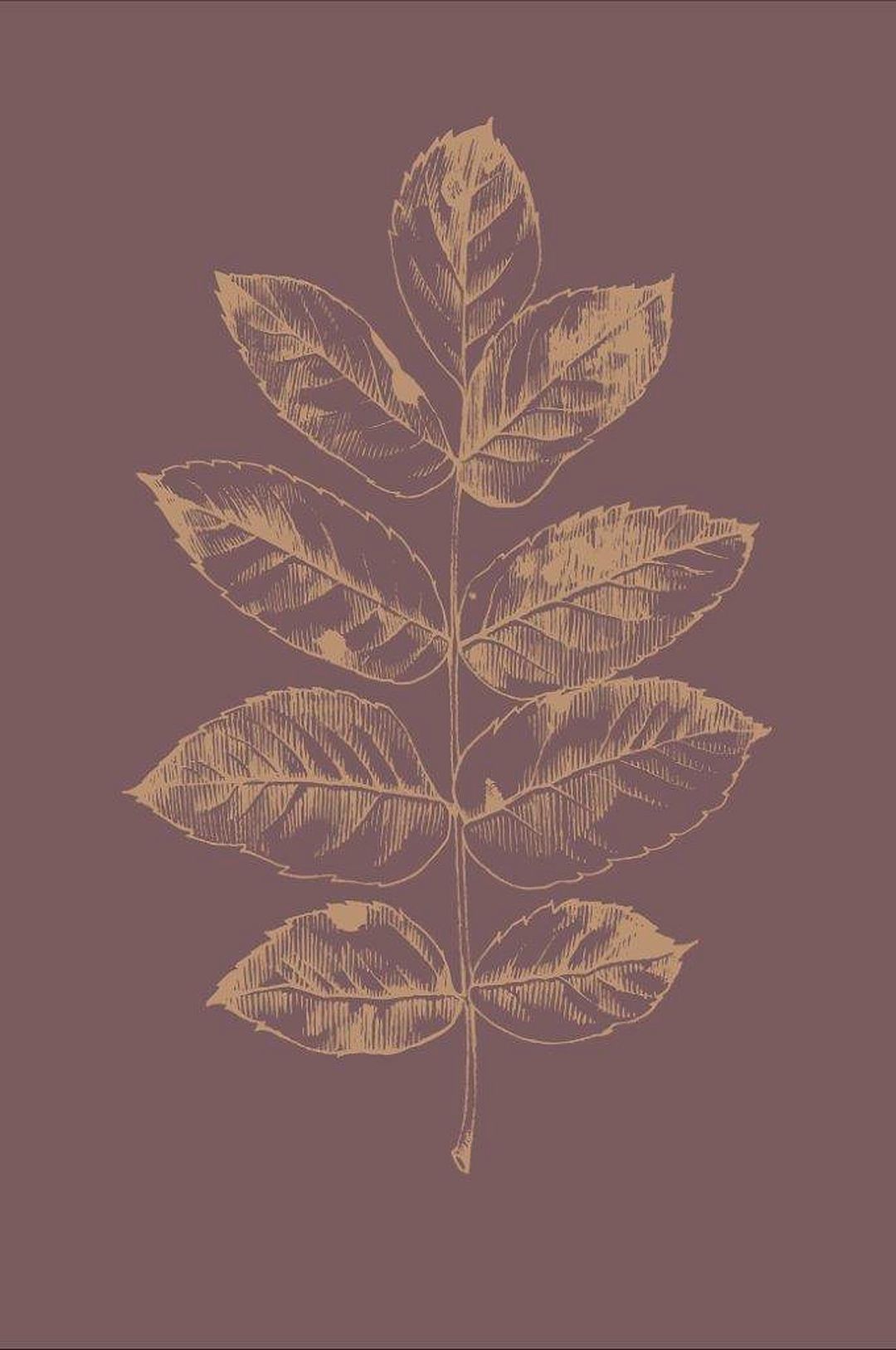 Malerifabrikken – Poster Botanica 2 – Röd – Posters – Från Homeroom