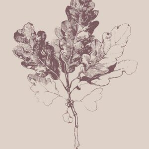 Malerifabrikken – Poster Botanica 3 – Beige – Posters – Från Homeroom