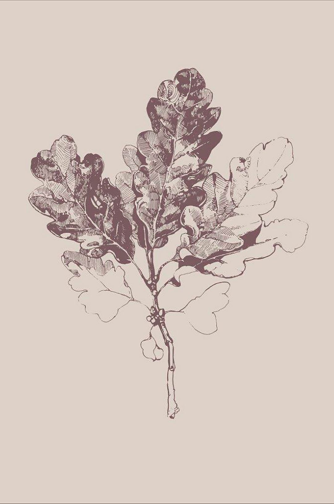 Malerifabrikken – Poster Botanica 3 – Beige – Posters – Från Homeroom