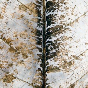 Malerifabrikken – Poster Close Up – Beige – Posters – Från Homeroom