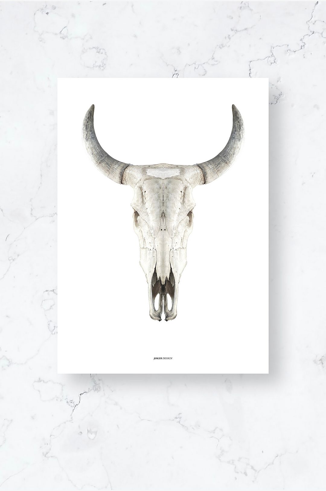 Malerifabrikken – Poster / Cow skull / Plano – Vit – Posters – Från Homeroom