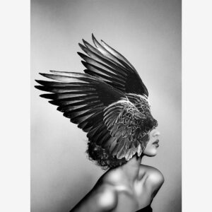 Malerifabrikken – Poster Diana – Svart – Posters – Från Homeroom