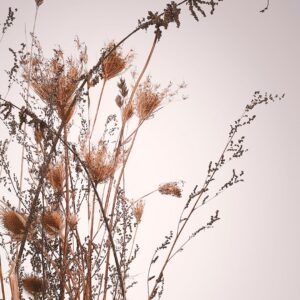 Malerifabrikken – Poster Everlasting – Beige – Posters – Från Homeroom