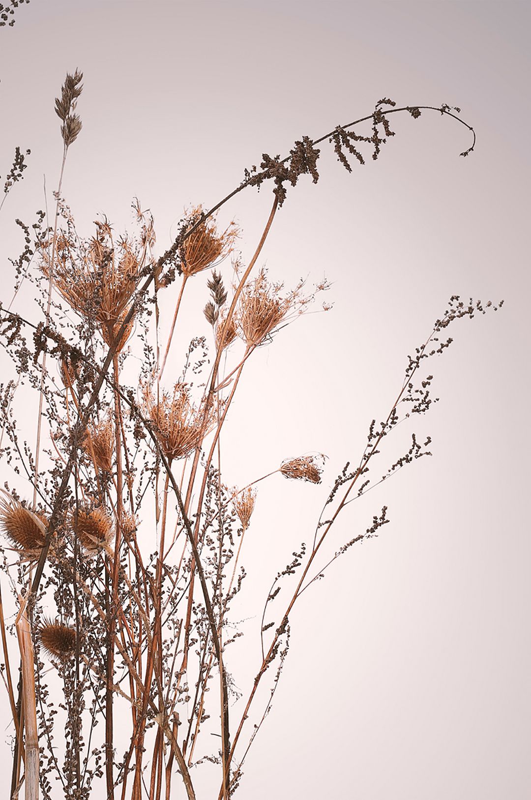 Malerifabrikken – Poster Everlasting – Beige – Posters – Från Homeroom