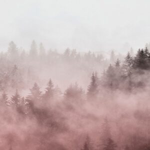 Malerifabrikken – Poster Foggy red – Röd – Posters – Från Homeroom