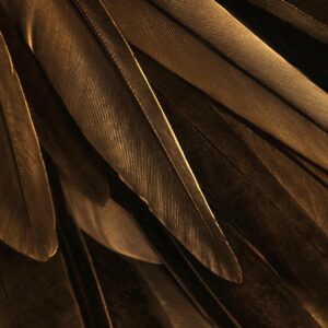 Malerifabrikken – Poster Gold wing – Guld – Posters – Från Homeroom