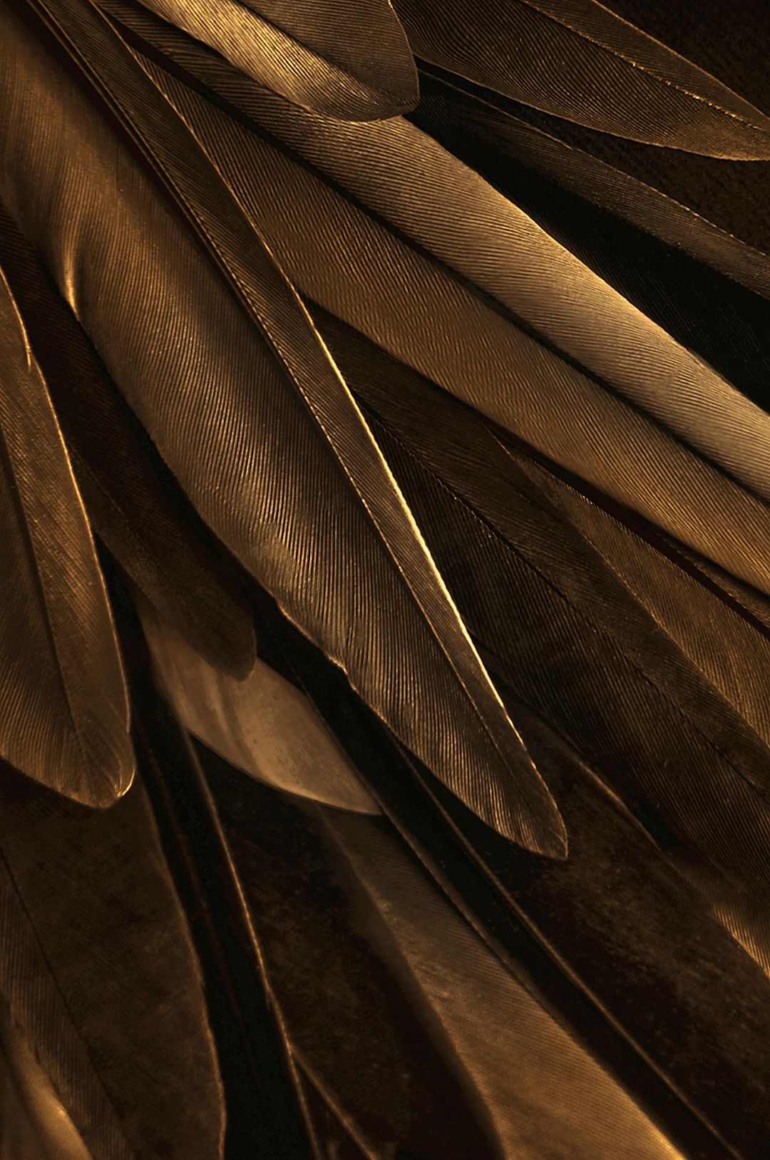 Malerifabrikken – Poster Gold wing – Guld – Posters – Från Homeroom