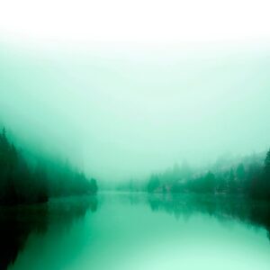 Malerifabrikken – Poster Green lake – Grön – Posters – Från Homeroom