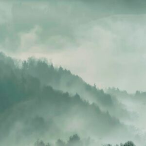 Malerifabrikken – Poster Holy Land – Grön – Posters – Från Homeroom