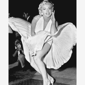 Malerifabrikken – Poster Monroe 9 – Svart – Posters – Från Homeroom