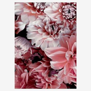 Malerifabrikken – Poster Opulent 8 – Rosa – Posters – Från Homeroom