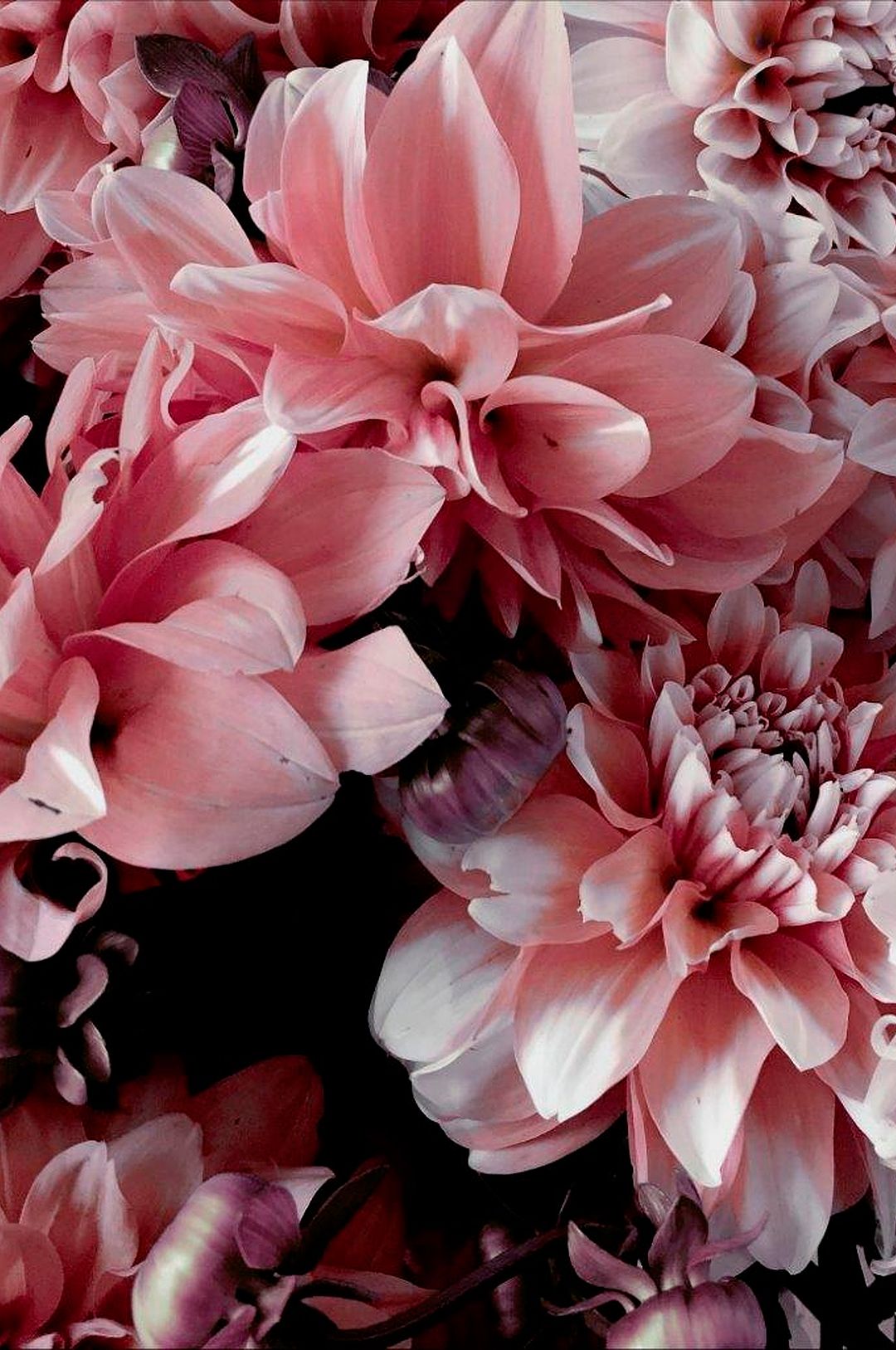 Malerifabrikken – Poster Opulent 9 – Rosa – Posters – Från Homeroom