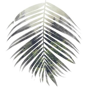 Malerifabrikken – Poster Palm leaf – Grön – Posters – Från Homeroom