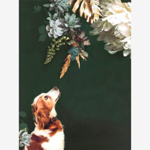 Malerifabrikken – Poster Pet Couture 1 – Flerfärgad – Posters – Från Homeroom