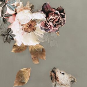 Malerifabrikken – Poster Pet Couture 2 – Flerfärgad – Posters – Från Homeroom