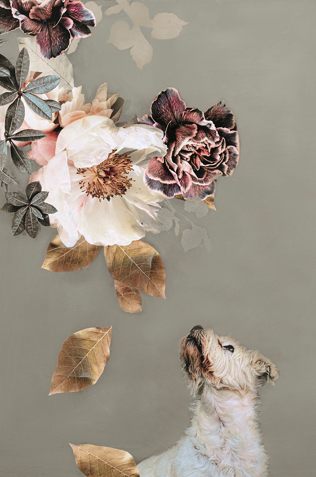 Malerifabrikken – Poster Pet Couture 2 – Flerfärgad – Posters – Från Homeroom