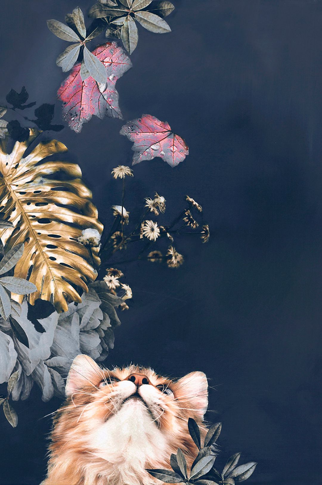 Malerifabrikken – Poster Pet Couture 3 – Flerfärgad – Posters – Från Homeroom