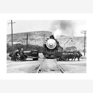 Malerifabrikken – Poster Police patrol – Svart – Posters – Från Homeroom