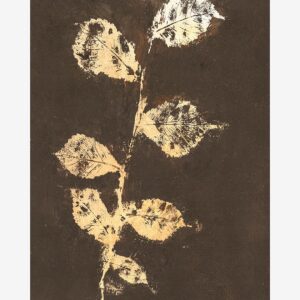 Malerifabrikken – Poster Pure Nature 4 – Brun – Posters – Från Homeroom