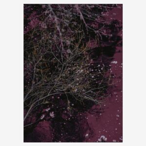 Malerifabrikken – Poster River of wine – Röd – Posters – Från Homeroom