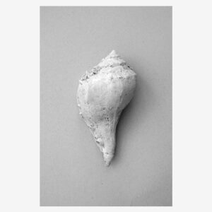 Malerifabrikken – Poster Shell – Grå – Posters – Från Homeroom