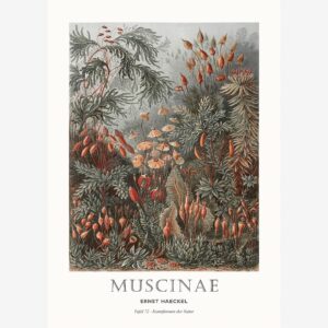 Malerifabrikken – Poster Tafel 72 – Grön – Posters – Från Homeroom