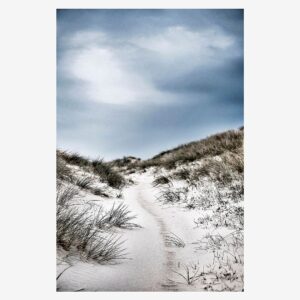 Malerifabrikken – Poster The path – Flerfärgad – Posters – Från Homeroom