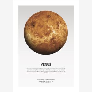 Malerifabrikken – Poster Venus Light – Vit – Posters – Från Homeroom