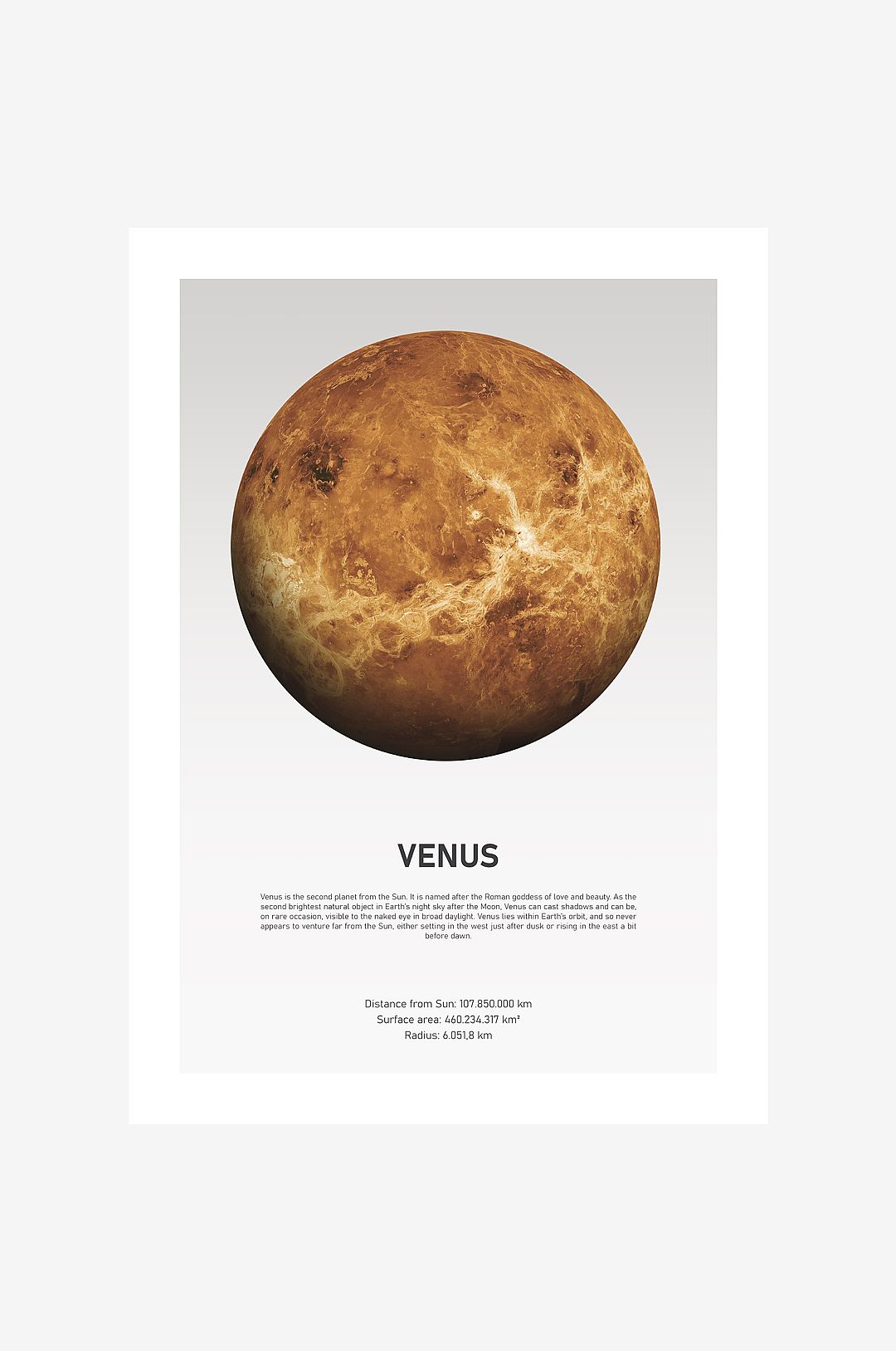 Malerifabrikken – Poster Venus Light – Vit – Posters – Från Homeroom