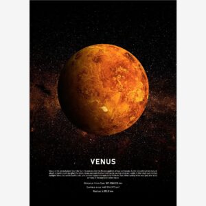 Malerifabrikken – Poster Venus – Svart – Posters – Från Homeroom