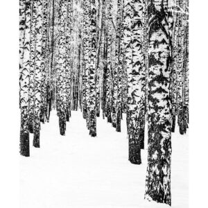 Malerifabrikken – Poster White Edition 2 – Svart – Posters – Från Homeroom