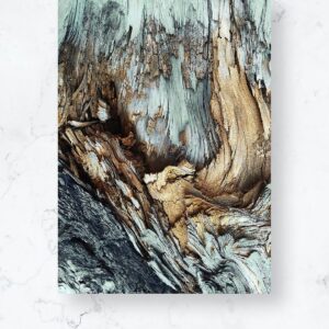 Malerifabrikken – Poster / Wooden / Plano – Flerfärgad – Posters – Från Homeroom