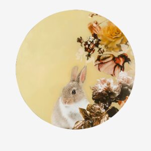 Malerifabrikken – Tavla Pet Couture 4 – Flerfärgad – Tavlor – Från Homeroom