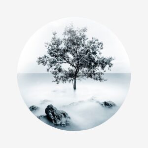 Malerifabrikken – Tavla Photo D’Art No 6 – Vit – Tavlor – Från Homeroom