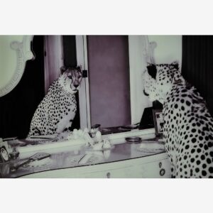 Nordic Furniture Group – Tavla Cheeta – Grå – Tavlor – Från Homeroom