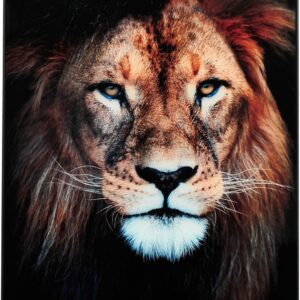 Nordic Furniture Group – Tavla Lion – Grå – Tavlor – Från Homeroom