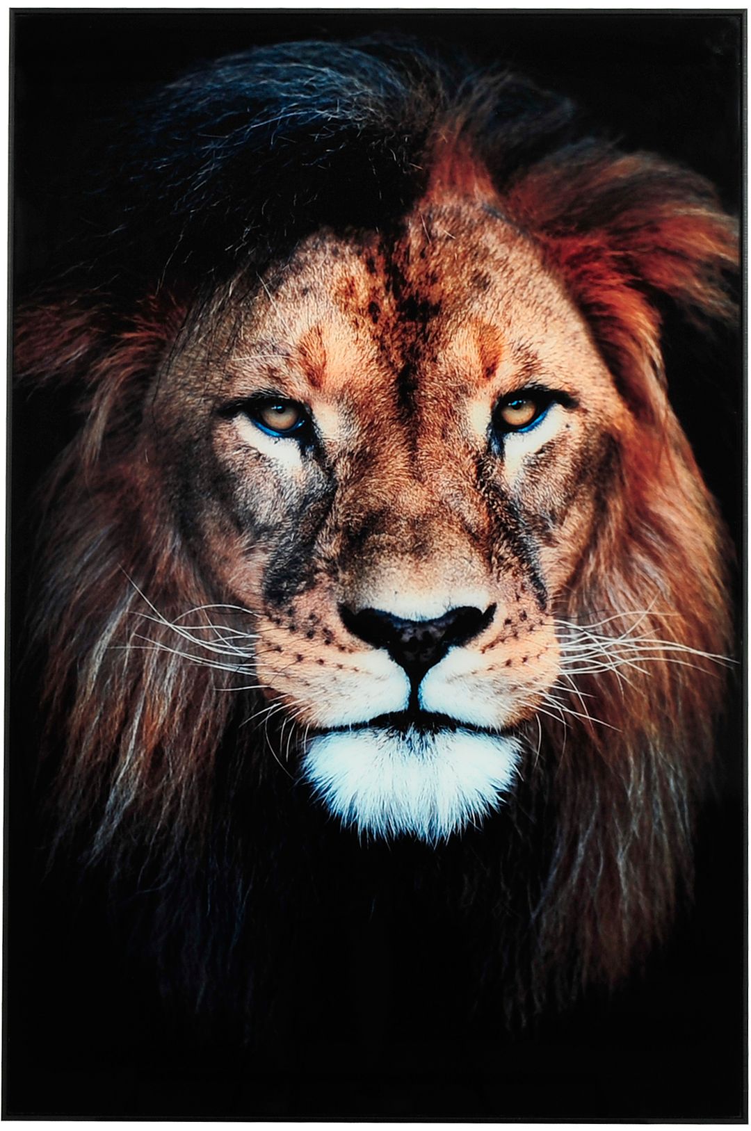 Nordic Furniture Group – Tavla Lion – Grå – Tavlor – Från Homeroom