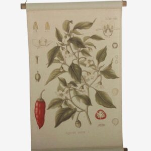 Tusent – Vägghängning Chilli – Natur – Posters & tavlor – Från Homeroom