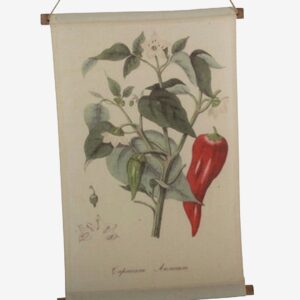 Tusent – Vägghängning Chilli – Natur – Posters & tavlor – Från Homeroom