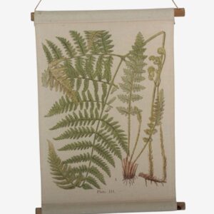 Tusent – Vägghängning Ormbunke – Natur – Posters & tavlor – Från Homeroom