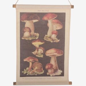 Tusent – Vägghängning Svamp – Natur – Posters & tavlor – Från Homeroom