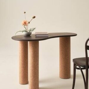 VINIO skrivbord 60×120 cm Mango wood