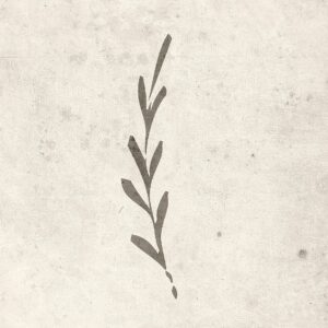 Venture Home – Poster Autumn leaf – Beige – Posters – Från Homeroom