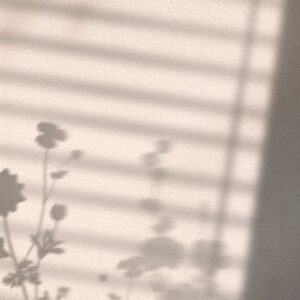 Venture Home – Poster Flower shadow – Vit – Posters – Från Homeroom