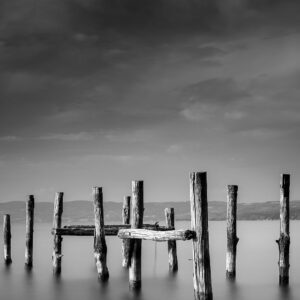 Venture Home – Poster Ocean – Svart – Posters – Från Homeroom