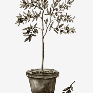 Venture Home – Poster Olive – Vit – Posters – Från Homeroom